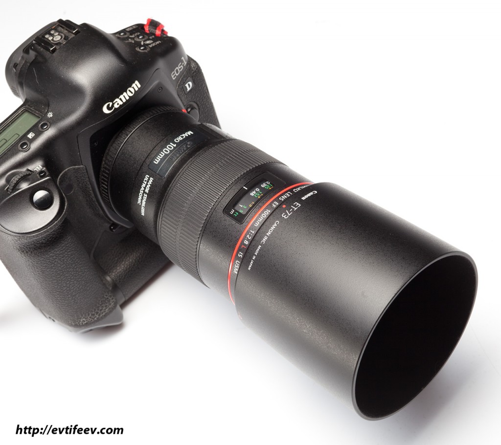 Canon EF 100/2.8L IS USM Macro