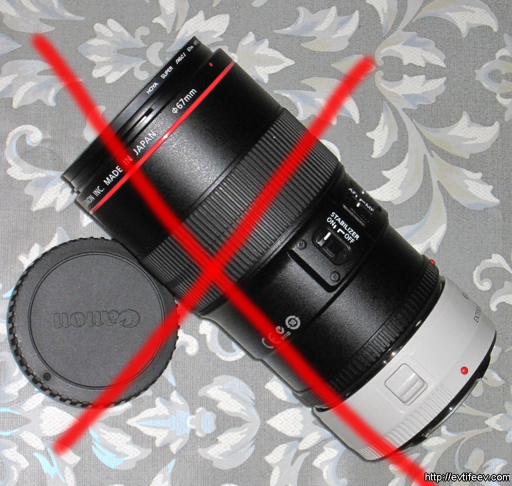 Лучшие объективы для макросъемки: Canon vs Carl Zeiss