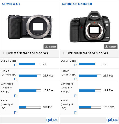Сравнение сенсоров: Canon vs Sony