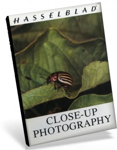 hasselblad close-up photo