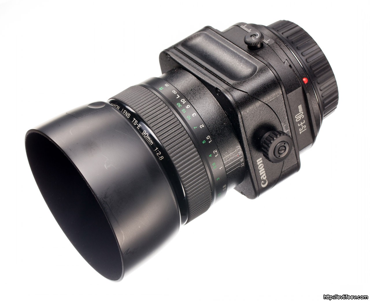 Выбираем лучший 100мм объектив: Canon EF 100mm f/2.8L Macro IS USM, Canon EF 90/2.8 TS-E, Canon EF 24-105mm f/4L IS USM