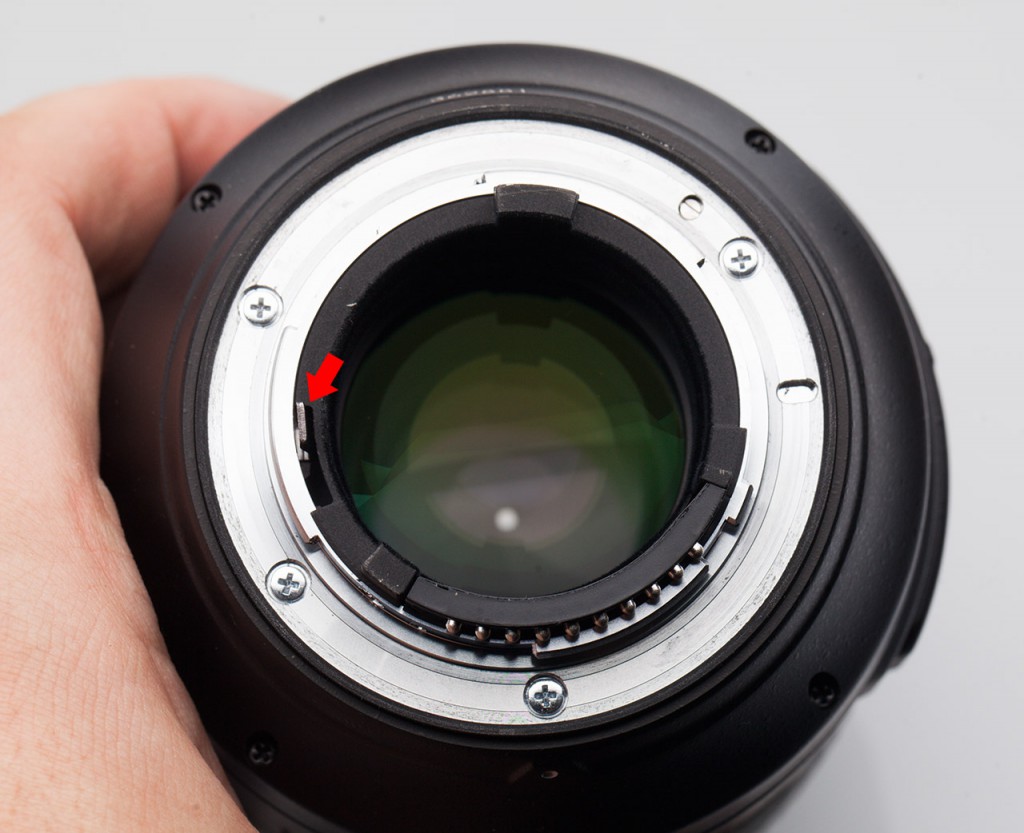Canon EF 100/2.8L IS USM vs Nikon AF-S Micro Nikkor 105/2.8G ED