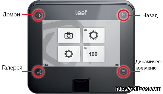 Обзор среднеформатной камеры Mamiya DF+ с цифровым задником Leaf Credo 40