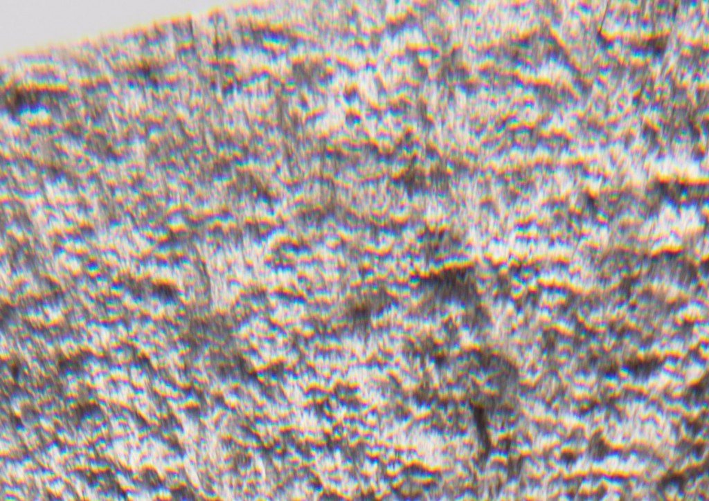 Обзор Close-up светофильтров Hoya