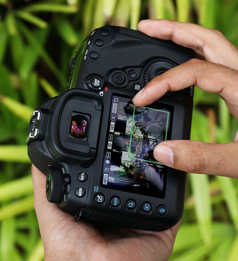 Обзор фотокамеры Canon 5D mark IV