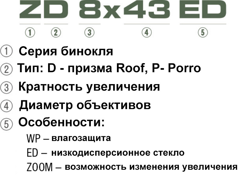 Обзор бинокля PENTAX ZD 8x43 ED
