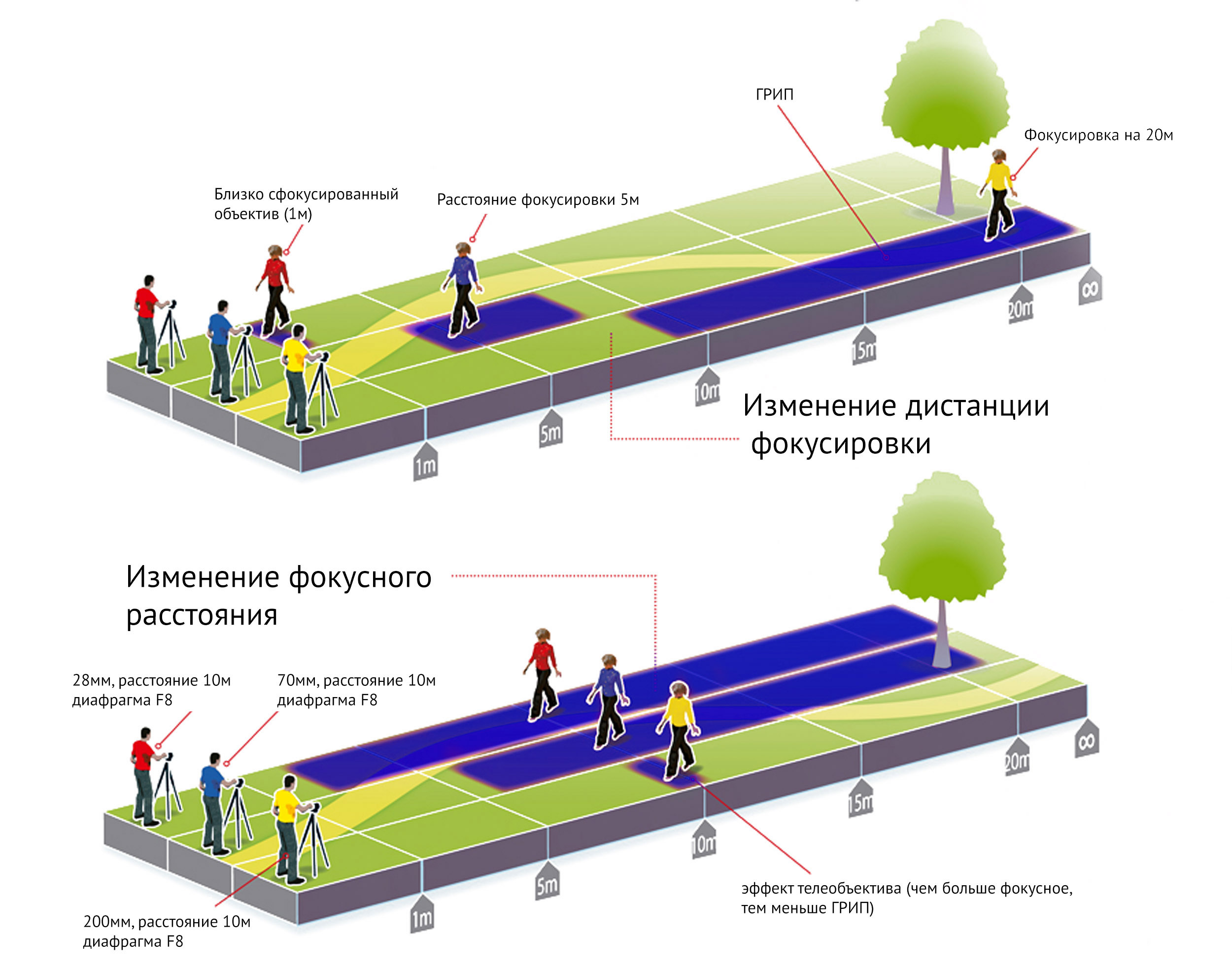 Глубина резкости. Грип от фокусного расстояния. Глубина резко изображаемого пространства. Грип глубина резкости изображаемого пространства.